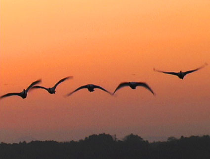 ���Ă��ƃn�N�`���E