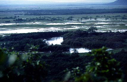 Kushiro damp plain National Park. 