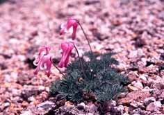 ���܂���1