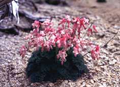 ���܂���2